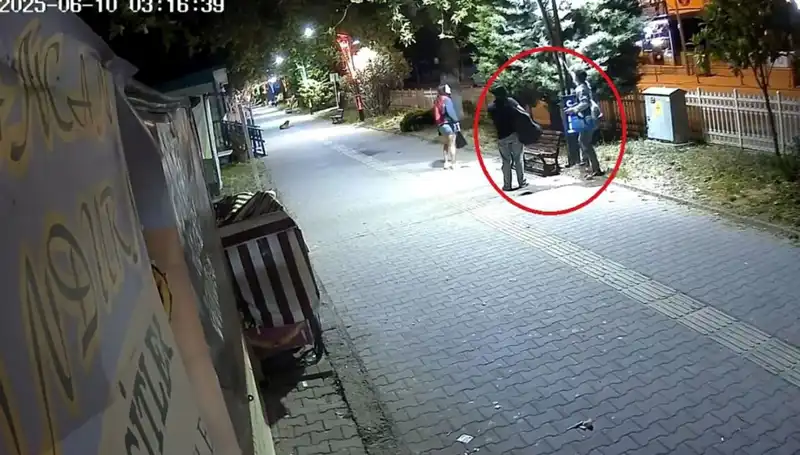 Aydınlatma Direklerindeki LED Işıkları Söken Hırsızın Zarar Miktarı Başları Kaldırdı
