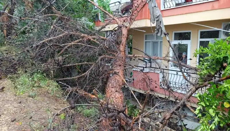 Yağmurun Gücü: Bina Tavanı Zamanla Çöktü!