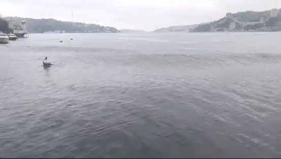 İstanbul'da Şok Edici Deprem: 6,2 Büyüklüğündeki Sarsıntı Denizde Dalgalar Yarattı!