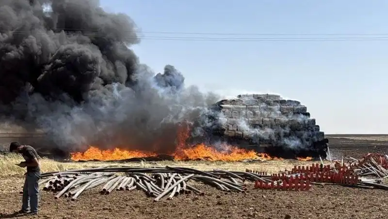 Mardin'de Anız Yangınları: Tarım Alanları Tehdit Altında