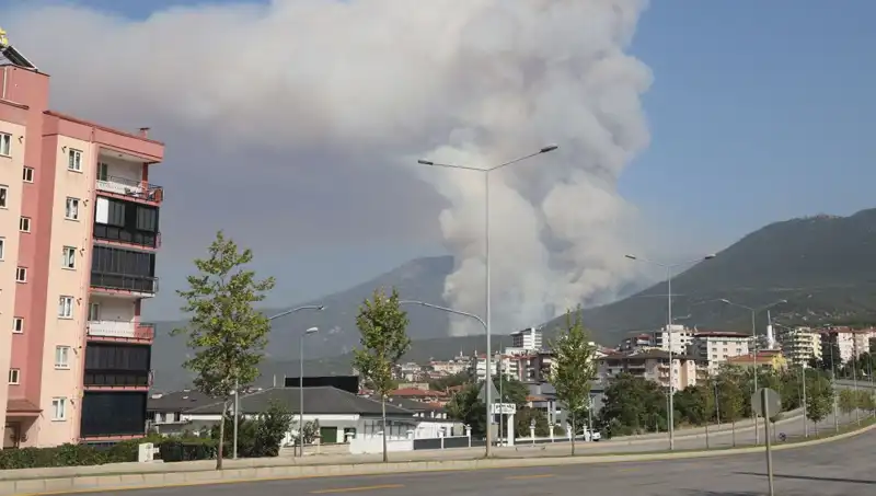 Denizli'de Orman Yangını Büyüyor: Olayla İlgili Gözaltı Şoku!