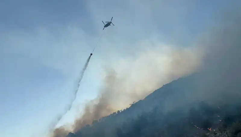 Söke’deki Orman Yangını Kontrol Altına Alındı, Fırtına Rüzgarlarına Rağmen Tekrar Uyanabilir!