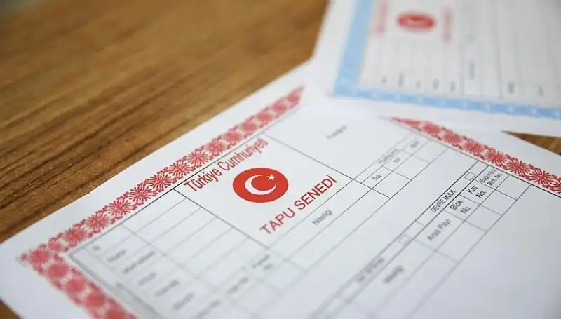 100 Milyonluk Çark Deşifre Oldu: "Hisseli Tapu" Yalanıyla Tuzağa Düşürenler