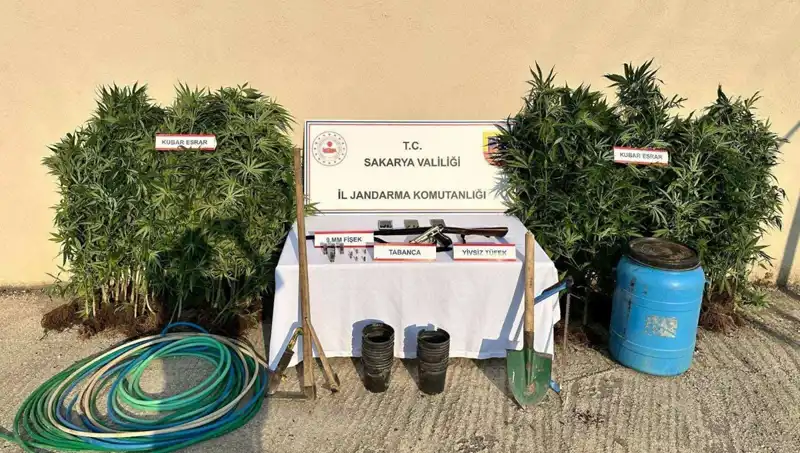Sakarya'da Uyuşturucu Operasyonuyla Tek Şahıs Tutuklandı: Detaylar Ortaya Çıktı