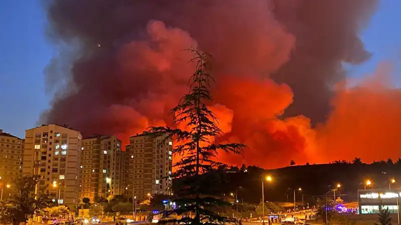 Bursa'da Yangın Alarmları: Şehir Alev Alev Yanıyor!