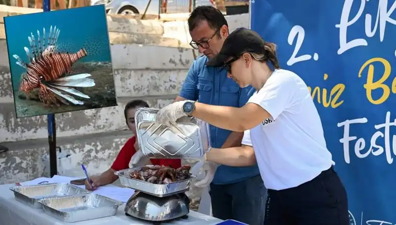 Antalya'da İstilacı Aslan Balığı Avlama Yarışması: Doğa Dostu Bir Mücadele