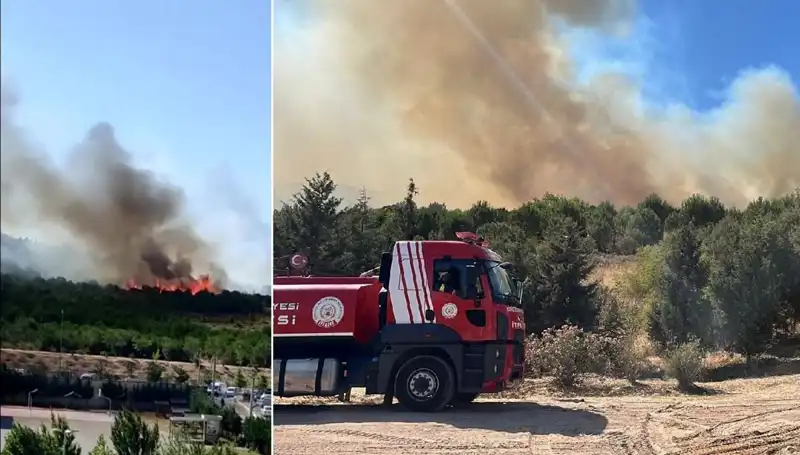 Gebze'de Korkutan Orman Yangını: Yangın Söndürme Çalışmaları Hızla Devam Ediyor