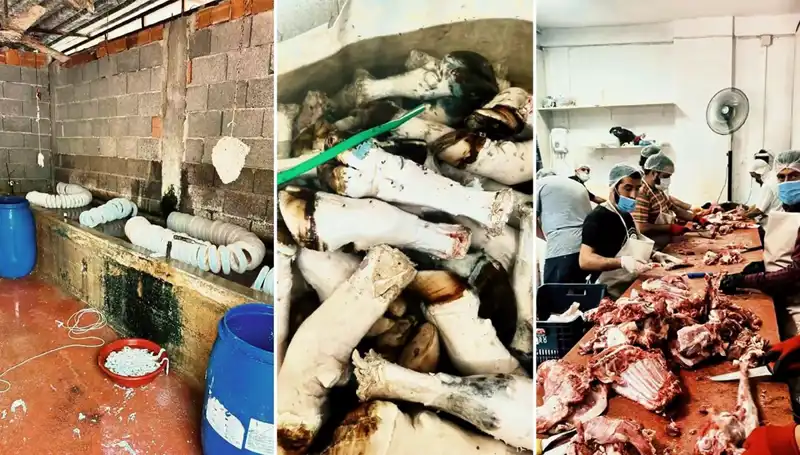 Adana'da Şok Eden İhlal: Yüzlerce Kilo Sağlıksız Paça Ele Geçirildi