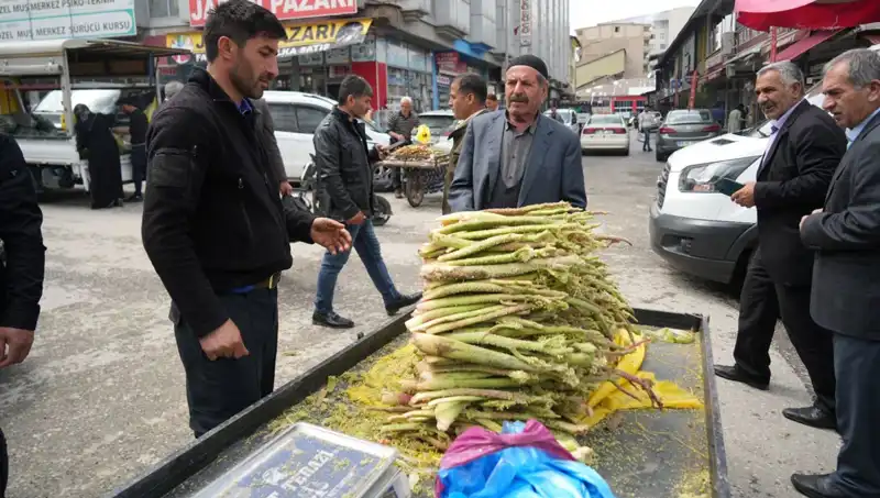 Şekerin Şifalı Sırrı: Kanser ve Mide Hastalığına İyi Geldiği İddia Ediliyor