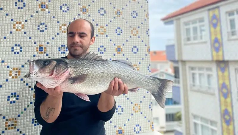 ** 7,5 Kiloluk Dev Levrek Avı, Balıkçılar Arasında Heyecan Yarattı!**